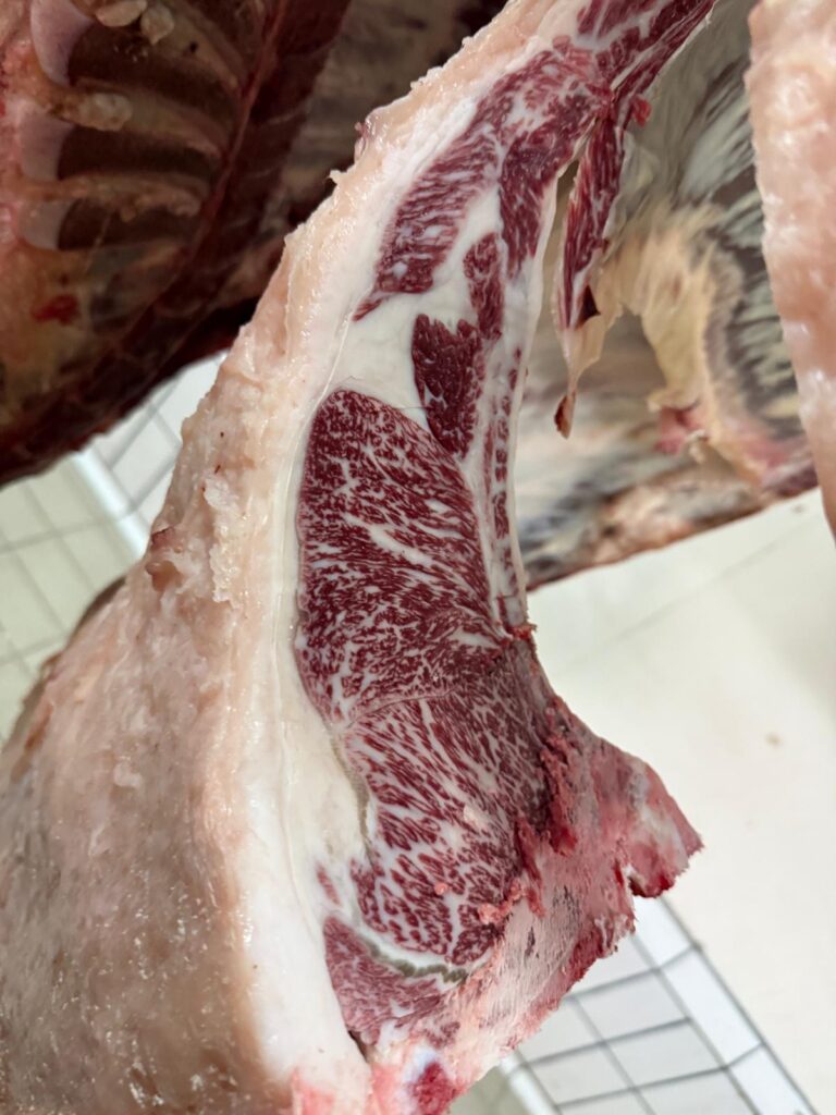 European beef carcass from certified livestock supplier 